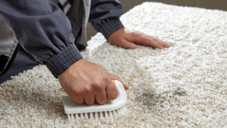 Professional Rug Cleaning Newington